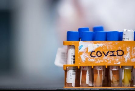 Canada’s COVID-19 infections among adults tripled in early 2022 due to Omicron: study