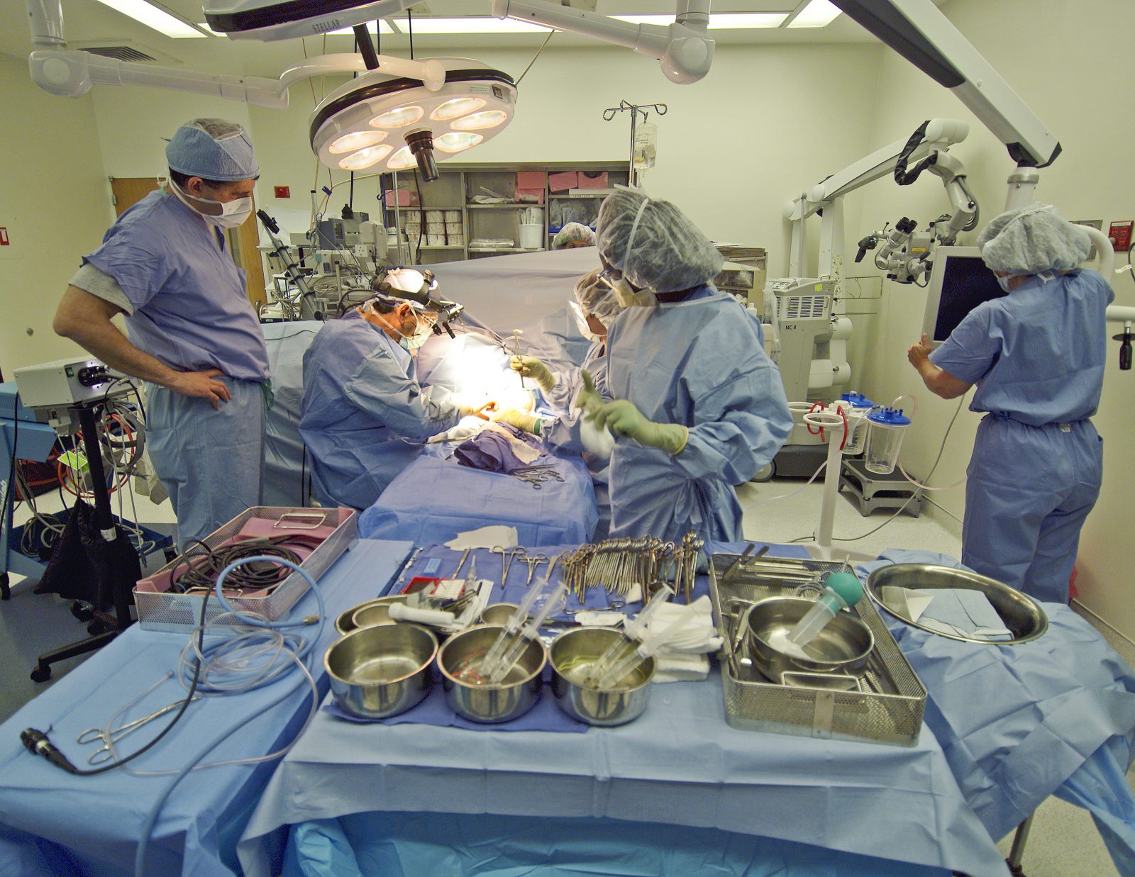 New Equipment Will Support More Than 500 Surgeries Each Year at WDMH 