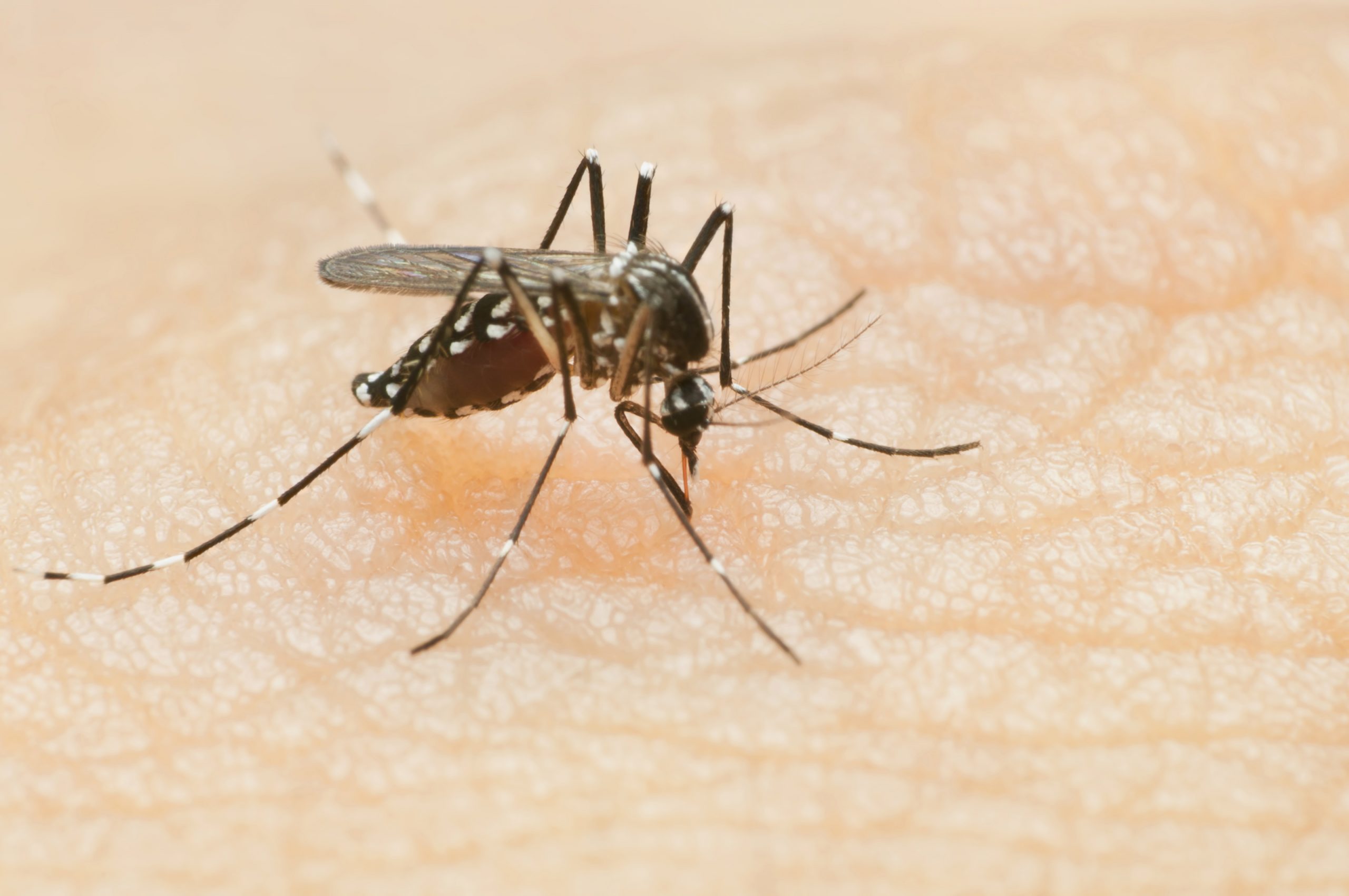 Protect yourself from West Nile virus