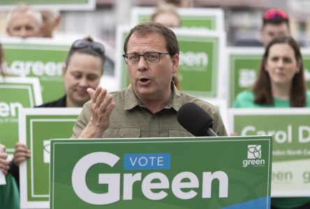 Ontario Greens come up short in Parry Sound-Muskoka despite vigorous campaigning