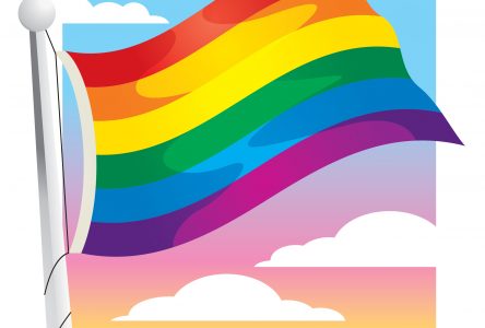 UCDSB Celebrates Pride Month 
