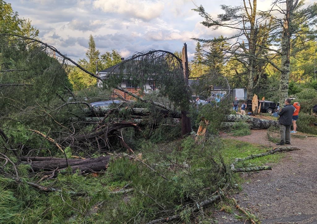 Storm that lashed Laurentians likely a tornado, Environment Canada says