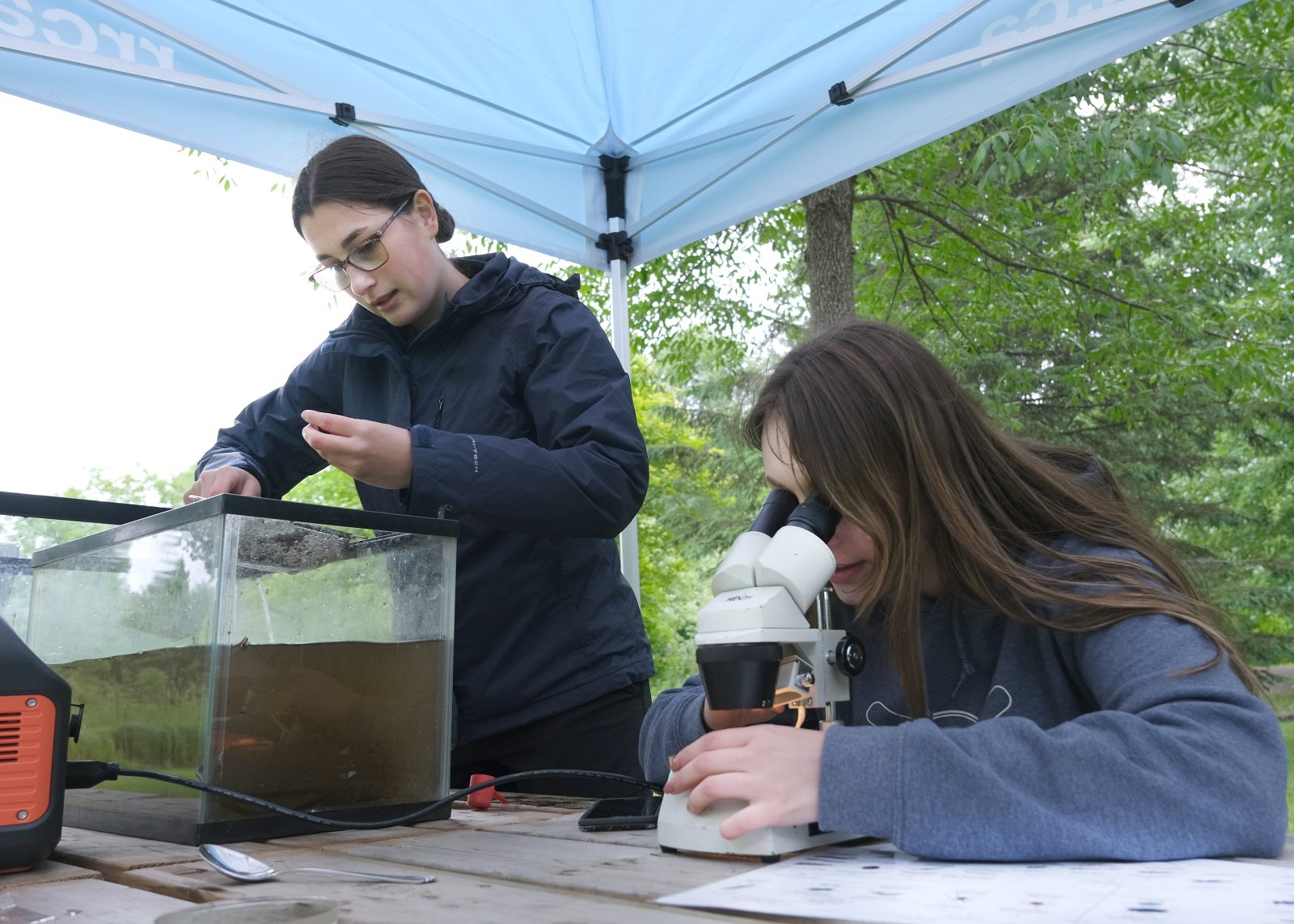 Interpret Invertebrates at Cooper Marsh Conservation Area with the RRCA and River Institute 