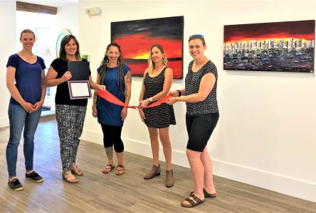 Artizen brings wellness and  Artist Exploration to South Glengarry