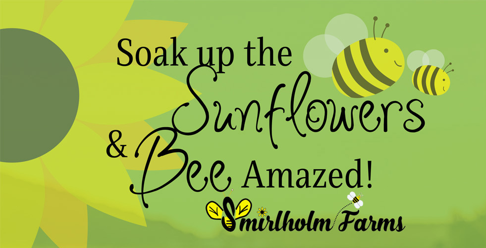 Here Comes the Sun – Sunflowers That Is!