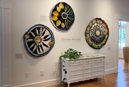 Woven Woods Just One Stop on Weekend’s Apples & Art Studio Tour