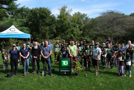 TD Bank Group and RRCA Work Together to Plant Trees at Gray’s Creek Conservation Area