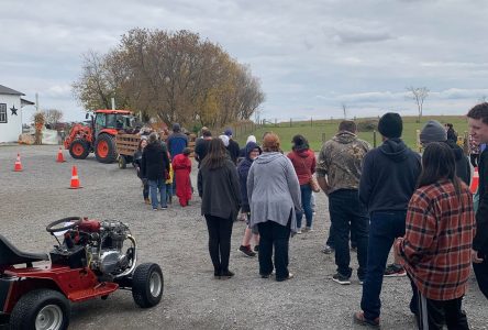 Split Rock Farms Alpacas Hosted Packed Open House in October