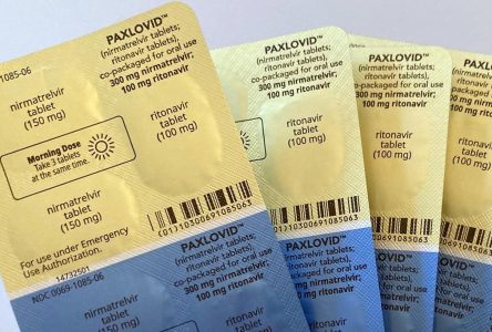 Ontario considering letting pharmacists prescribe Paxlovid for COVID-19: Moore