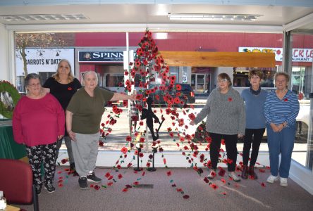 Local Woman Crochets Stunning Remembrance Day Display