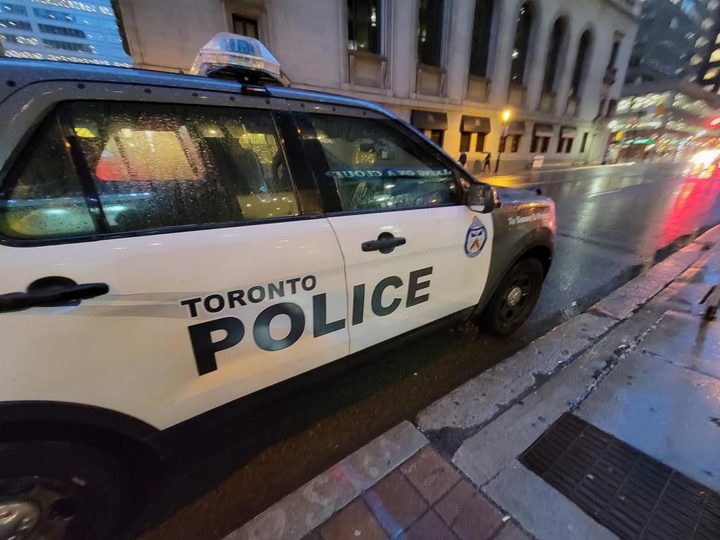 Black University of Toronto student sues police over alleged assault, detention