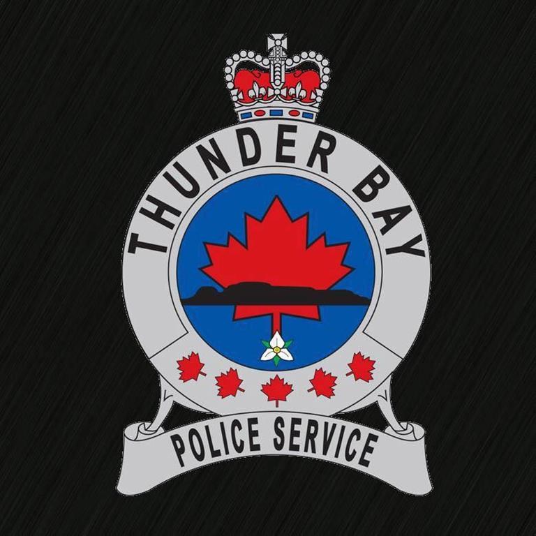 Thunder Bay’s police chief resigns amid suspension, misconduct charges