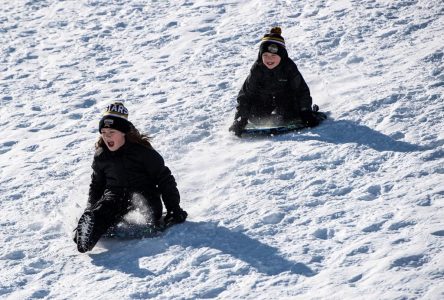 Proposal to ban tobogganing at all but two Oshawa, Ont., parks draws criticism