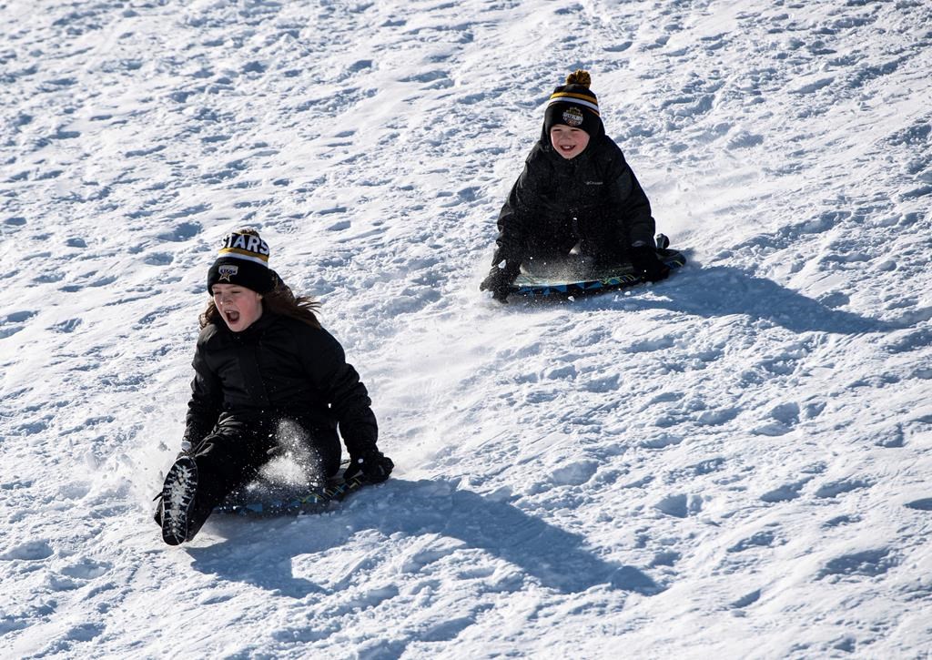 Proposal to ban tobogganing at all but two Oshawa, Ont., parks draws criticism