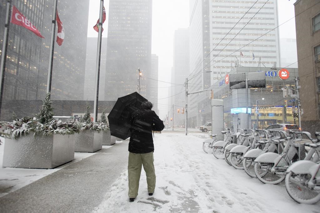 Flights cancelled in Toronto, dozens of crashes reported as winter storm hits Ontario