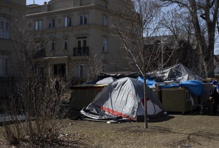 Toronto vulnerable to legal challenge after precedent-setting encampment ruling
