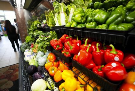 Food prices continue to climb even as inflation eases