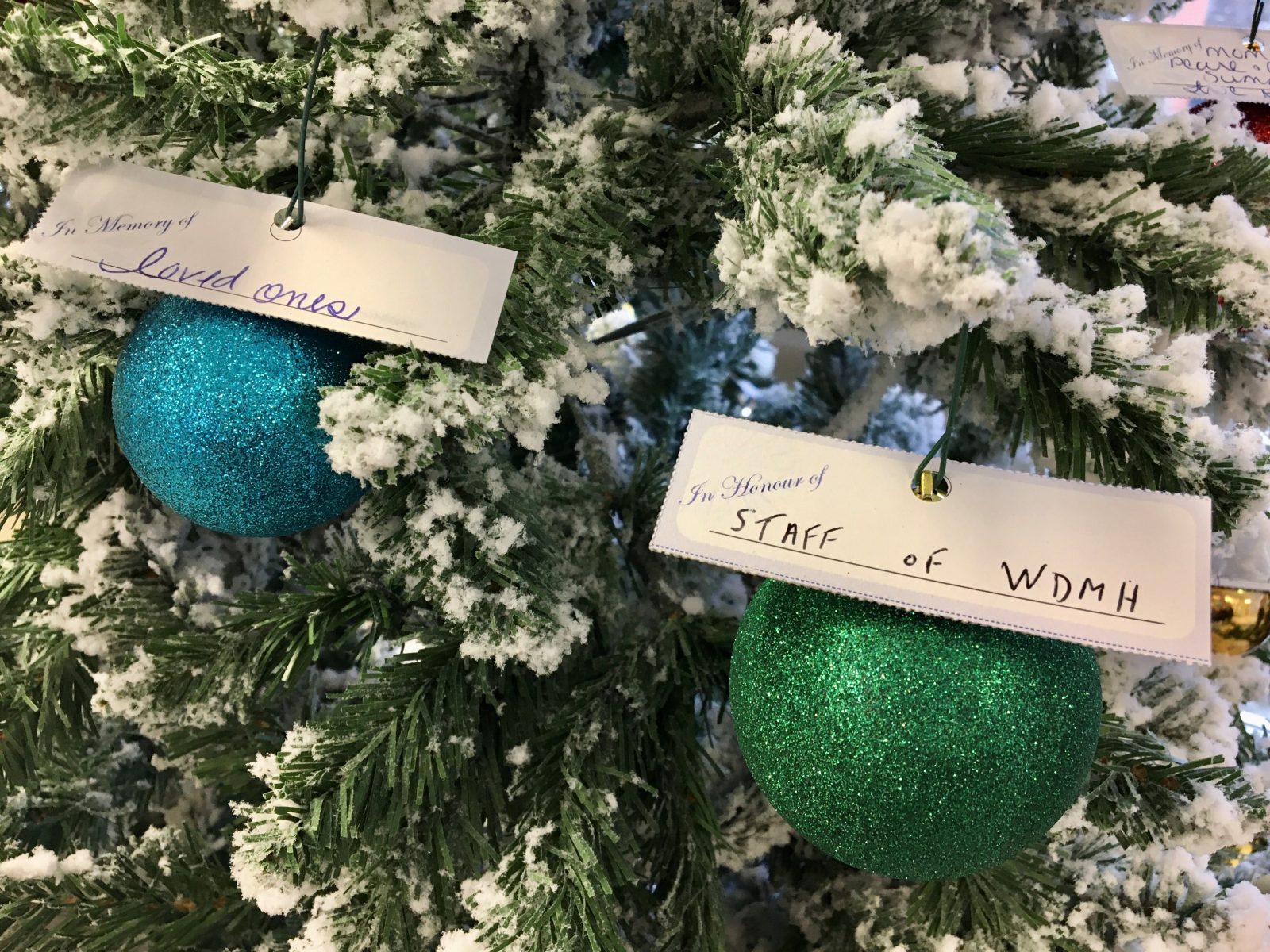 Judy Lannin Christmas Wish Tree Lights Up Our Hearts