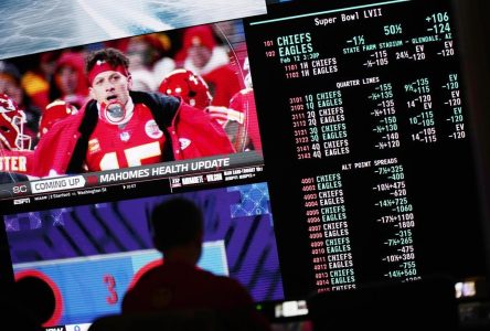 It’s been a busy opening year for Ontario’s fledgling sports-betting industry