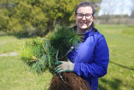 RRCA and SNC Offering 10,000 Free Trees to Residents This Spring