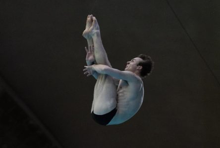 Hattie claims diving gold in national 3M springboard