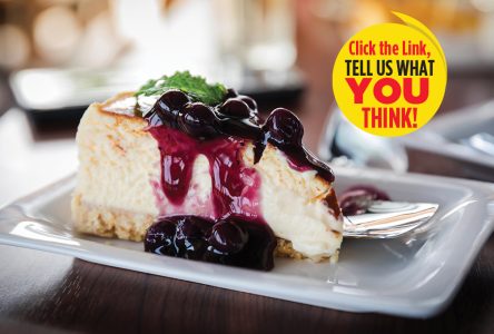 National Blueberry Cheesecake Day