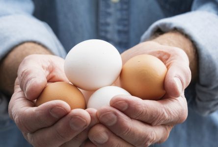 National Egg Day – June 3, 2023
