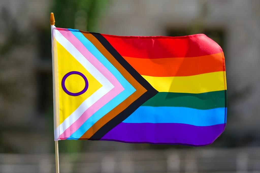 Police investigating after several Pride flags stolen in Hamilton