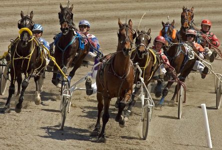 James MacDonald decides to drive Redwood Hanover in North America Cup