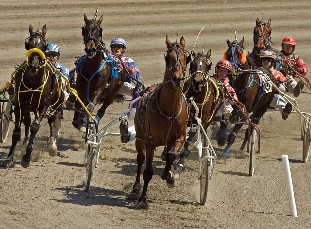 James MacDonald decides to drive Redwood Hanover in North America Cup
