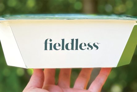 Fieldless Farms Introduces An Industry-First Packaging Alternative