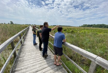 Upgrade your Nature Hikes at RRCA’s Cooper Marsh Conservation Area