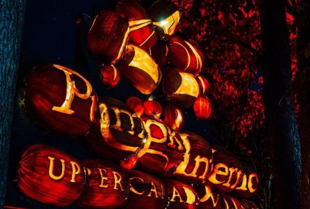 From Pumpkins to Phantoms, SLPC Screams Halloween this Year