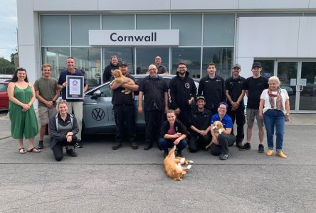 Cornwall Volkswagen Celebrates Guinness World Record