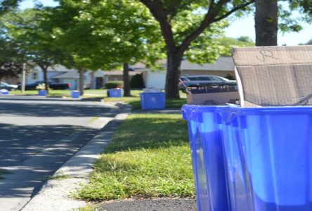 Getting rid of your garbage is a lot easier than you might think