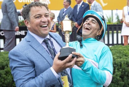 Trainer Kevin Attard has choices to make ahead of Saturday races