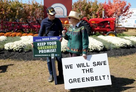 A chronology of key events following Ontario’s decision to develop Greenbelt lands