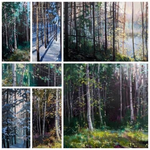 Local artist inspired by natural beauty of SDG Counties forests