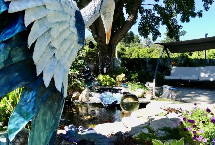 Local Artist Creates Backyard Oasis