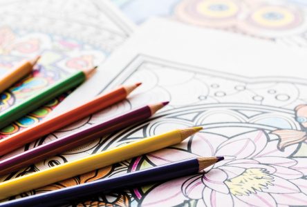 National Colouring Day