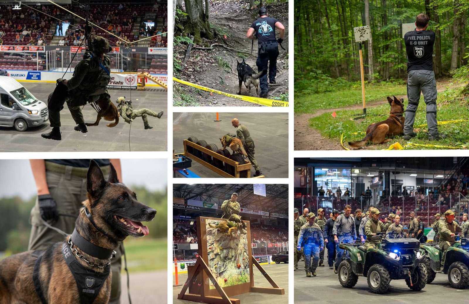 Unleashing Justice: Canine Teams Steal the Show