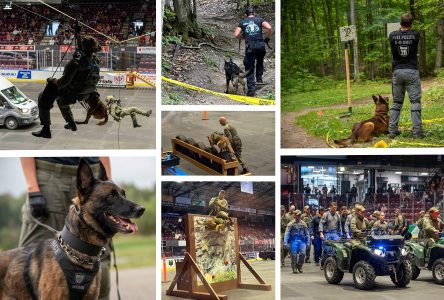 Unleashing Justice: Canine Teams Steal the Show
