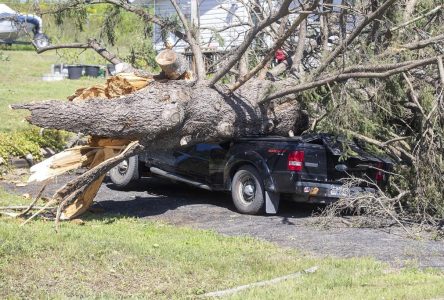 Summer storms in Ontario caused estimated $340 million in insured damages: IBC