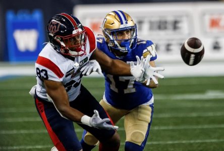 Winnipeg Blue Bombers, Montreal Alouettes to meet for first time in Grey Cup