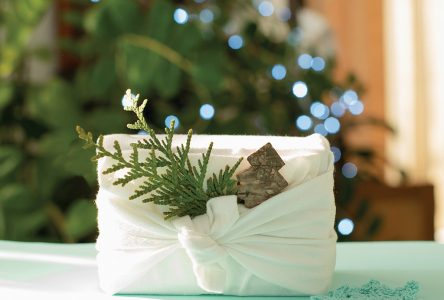 Celebrate a green Christmas  with these 5 eco-friendly tips