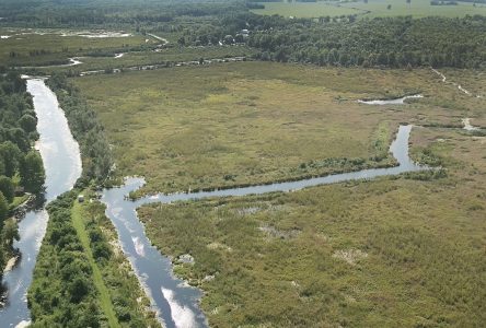 Ducks Unlimited Canada and Raisin Region Conservation Authority secure 10.4 acres in South Glengarry 