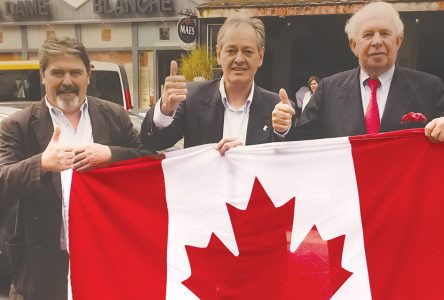 1000 Canadian flags for 1000 fallen liberators