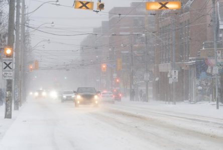 Travel advisories, warnings issued for Ontario cities ahead of heavy snowfall