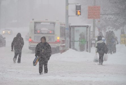 Parts of Ontario under winter storm watch as Environment Canada warns of major snow
