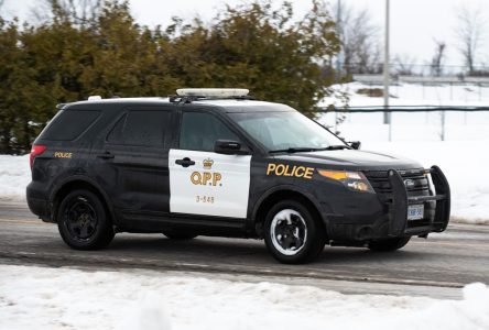 Four arrested, one more suspect sought in death of teen near Belleville, Ont.